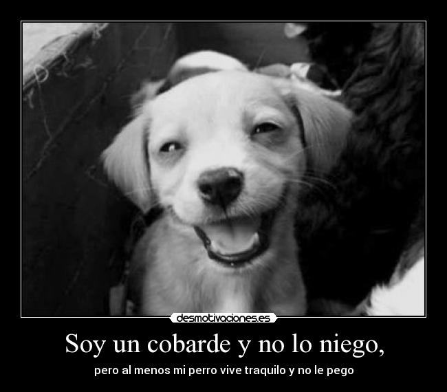 Soy un cobarde y no lo niego, -