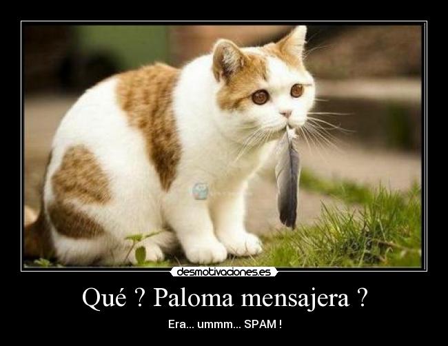 Qué ? Paloma mensajera ? -
