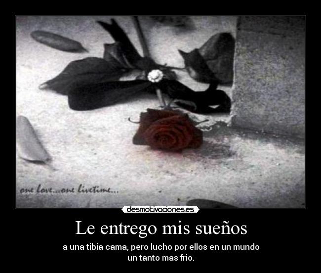 carteles entregomissuenos desmotivaciones