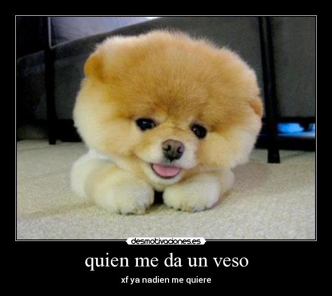 quien me da un veso - 