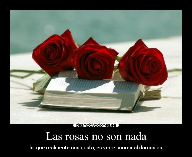 Las rosas no son nada -