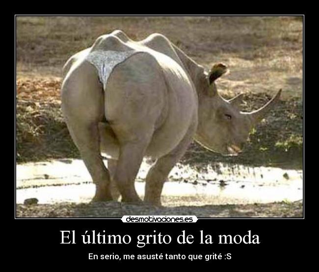 El último grito de la moda - 