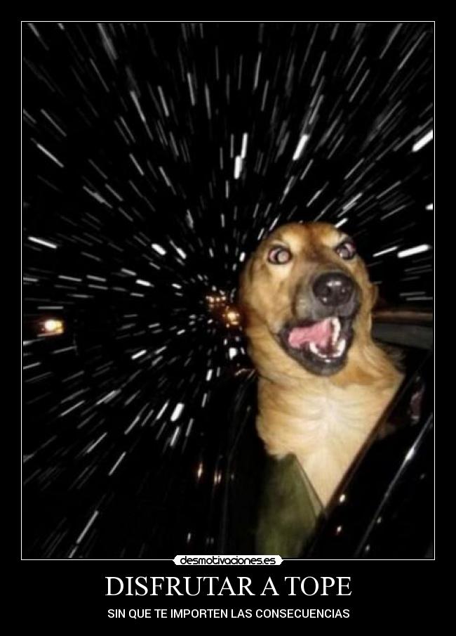 DISFRUTAR A TOPE - SIN QUE TE IMPORTEN LAS CONSECUENCIAS