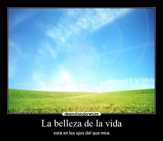 La belleza de la vida -