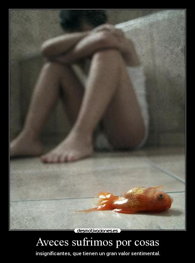 Aveces sufrimos por cosas - insignificantes, que tienen un gran valor sentimental.