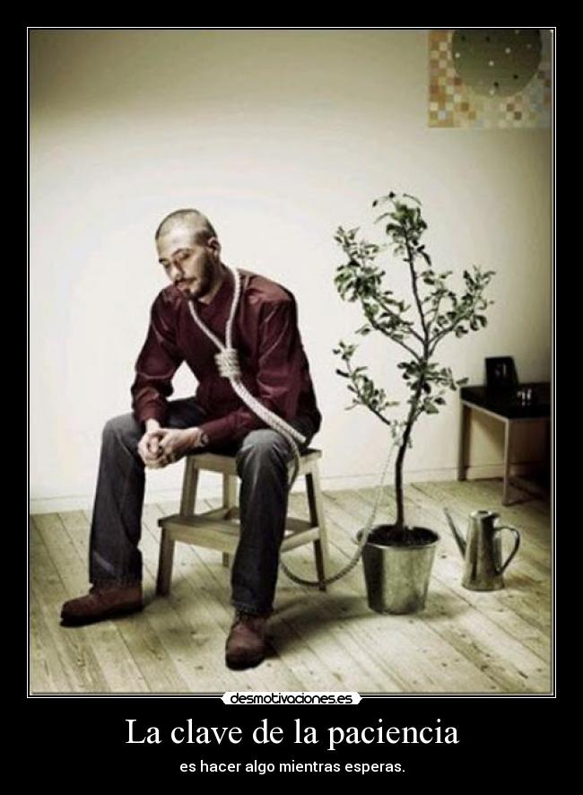 La clave de la paciencia - 