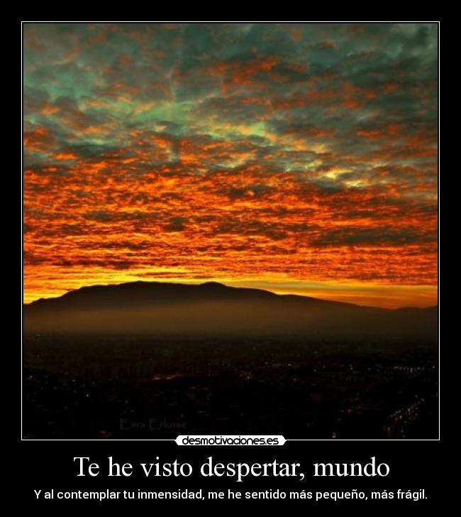 Te he visto despertar, mundo -