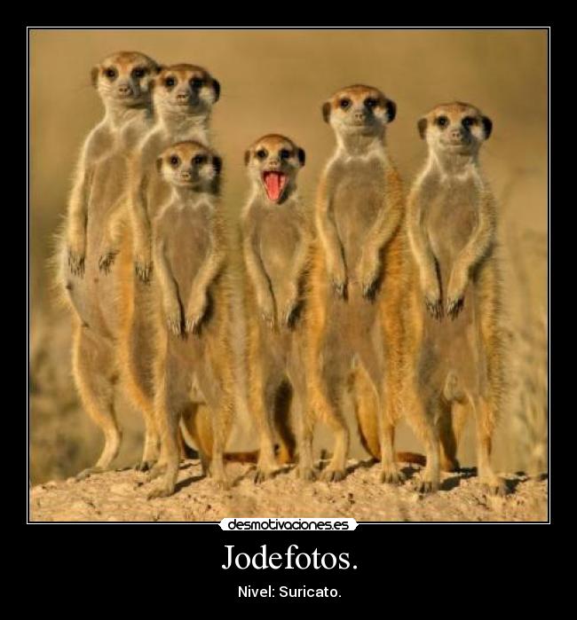 Jodefotos. -