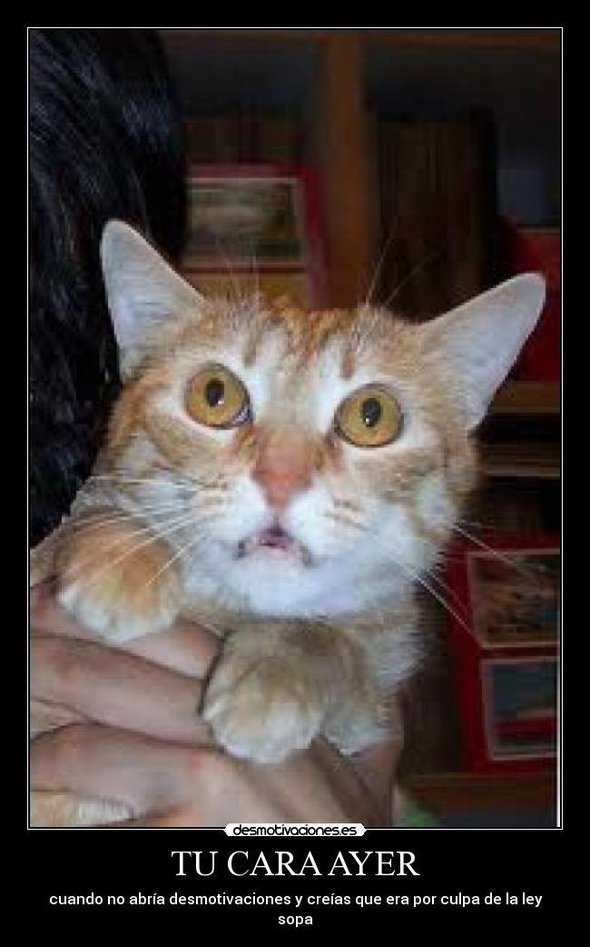 TU CARA AYER -