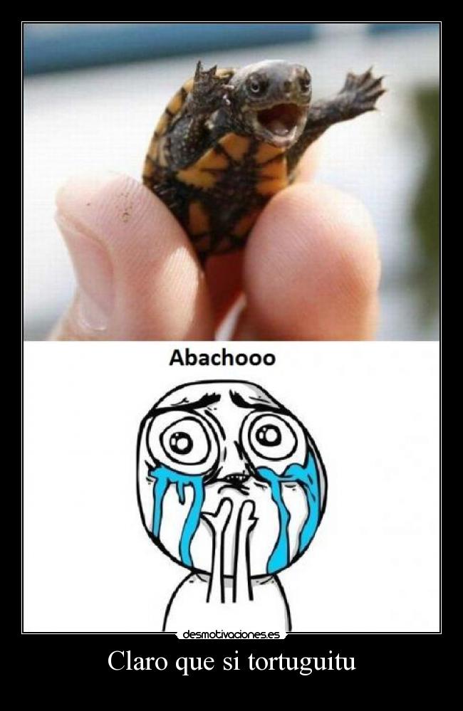 Claro que si tortuguitu -