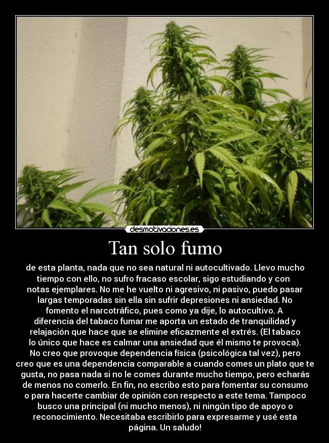 Tan solo fumo -