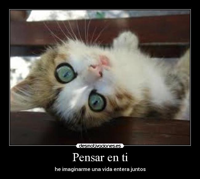 Pensar en ti - he imaginarme una vida entera juntos