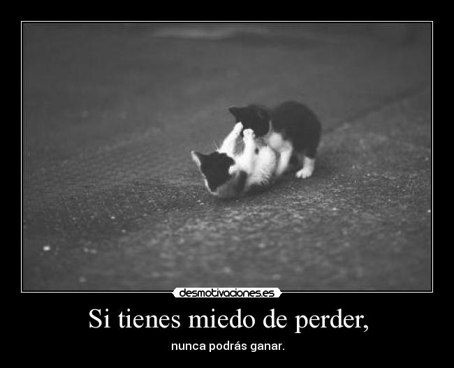 carteles miedo estoy observando seguro que estas sentado frente ordenador desmotivaciones