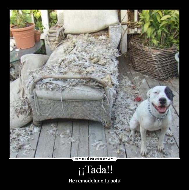 ¡¡Tada!! -