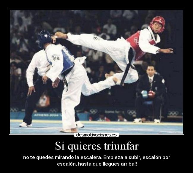 Si quieres triunfar - no te quedes mirando la escalera. Empieza a subir, escalón por
escalón, hasta que llegues arriba!!