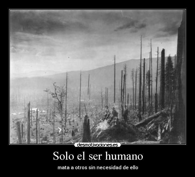 Solo el ser humano - mata a otros sin necesidad de ello