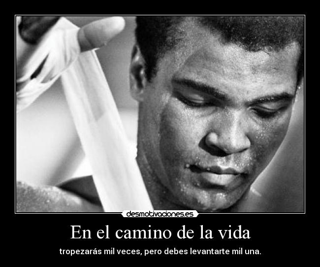 En el camino de la vida - tropezarás mil veces, pero debes levantarte mil una.