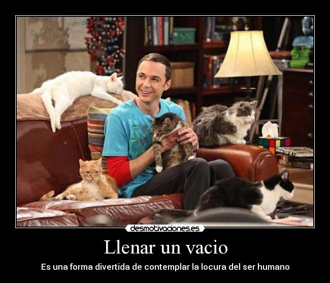 Llenar un vacio - Es una forma divertida de contemplar la locura del ser humano