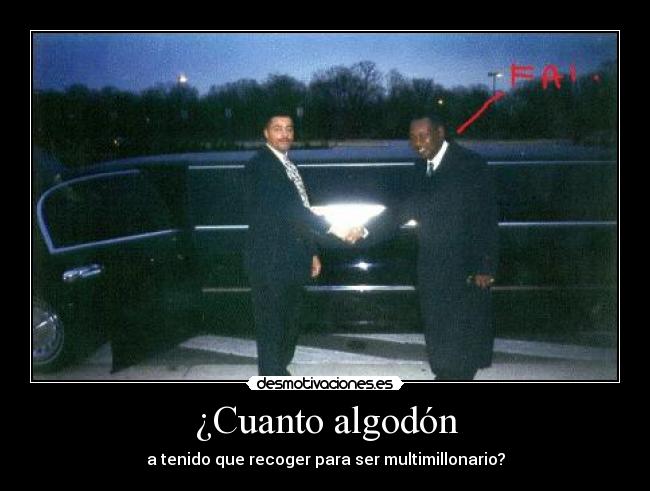 ¿Cuanto algodón - a tenido que recoger para ser multimillonario?