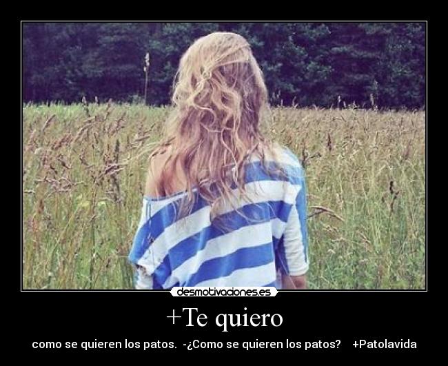 +Te quiero - como se quieren los patos. -¿Como se quieren los patos? +Patolavida