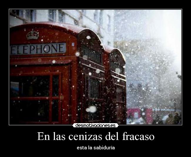 En las cenizas del fracaso - esta la sabiduría