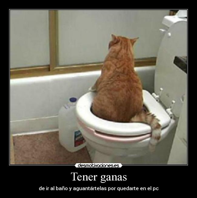 Tener ganas - 