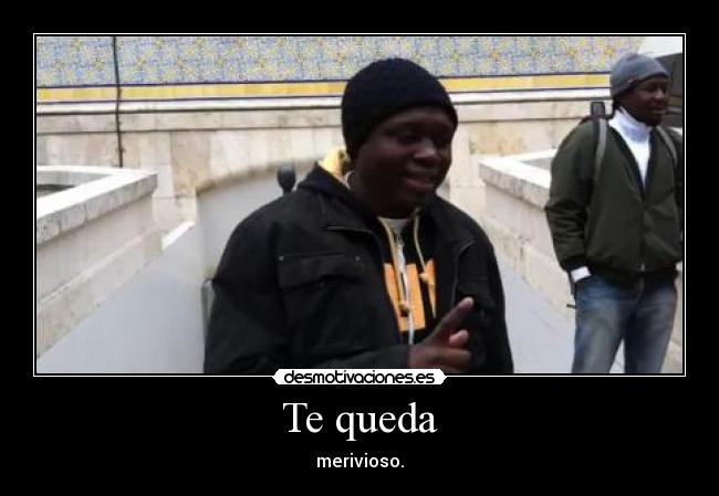 Te queda - merivioso.