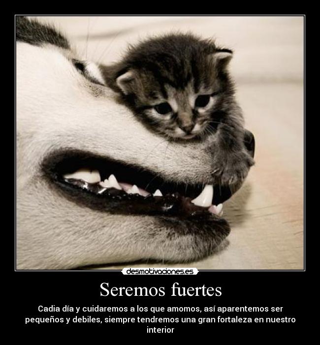 Seremos fuertes - 