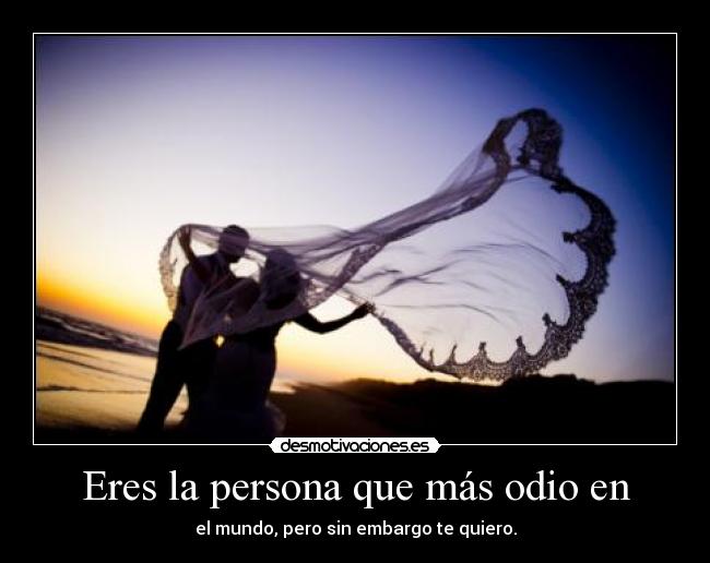 Eres la persona que más odio en -