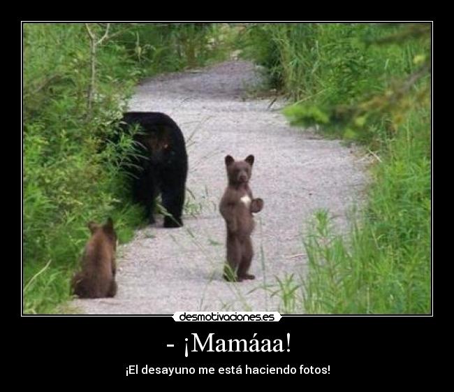 - ¡Mamáaa! - ¡El desayuno me está haciendo fotos!