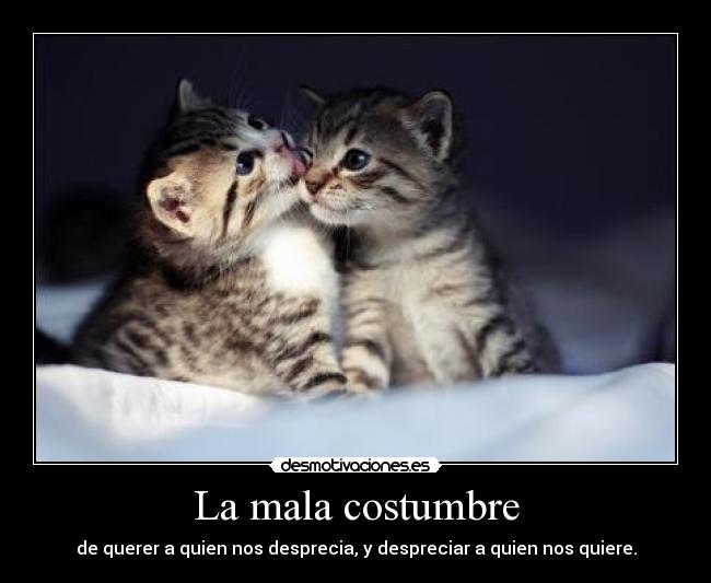 La mala costumbre - de querer a quien nos desprecia, y despreciar a quien nos quiere.