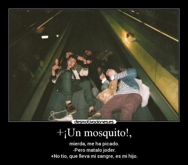 +¡Un mosquito!, -