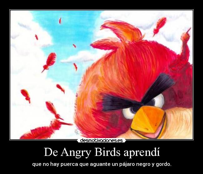 De Angry Birds aprendí - que no hay puerca que aguante un pájaro negro y gordo.