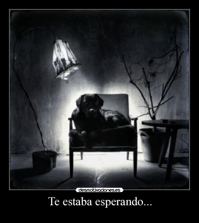 Te estaba esperando... - 