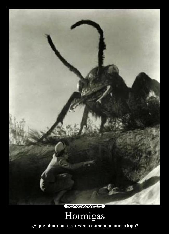 Hormigas -