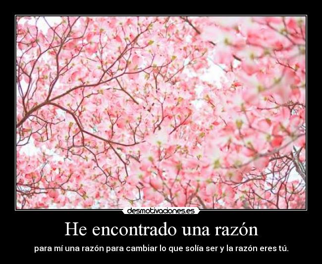 He encontrado una razón -