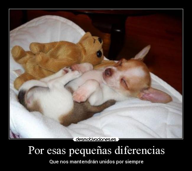 Por esas pequeñas diferencias -