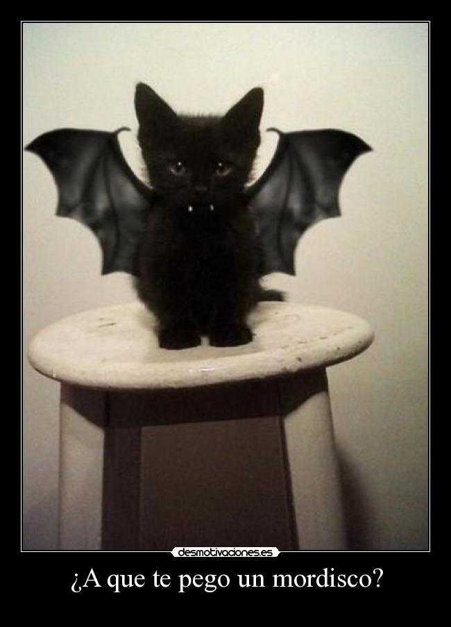 carteles d17pac desmotivaciones