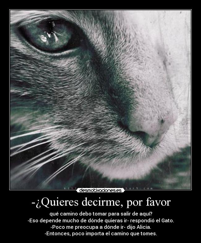 -¿Quieres decirme, por favor - 