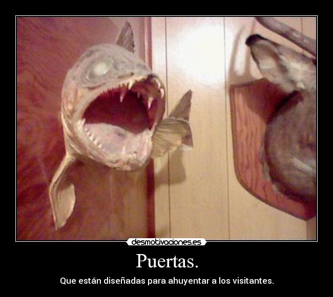 Puertas. - Que están diseñadas para ahuyentar a los visitantes.