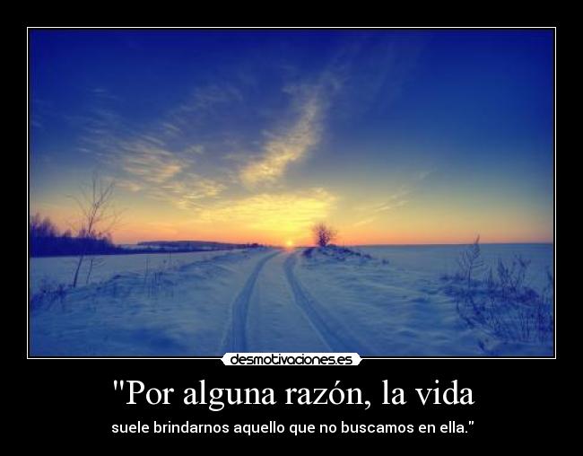 Por alguna razón, la vida - 