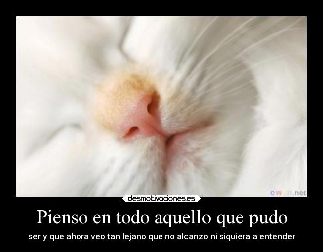 Pienso en todo aquello que pudo - 