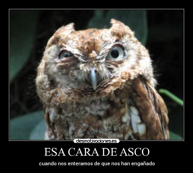 ESA CARA DE ASCO - 