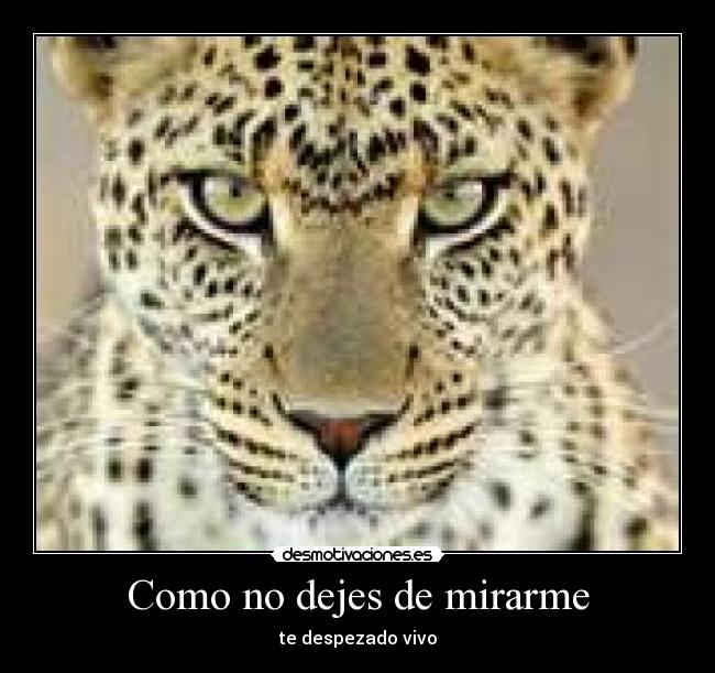 carteles bad desmotivaciones