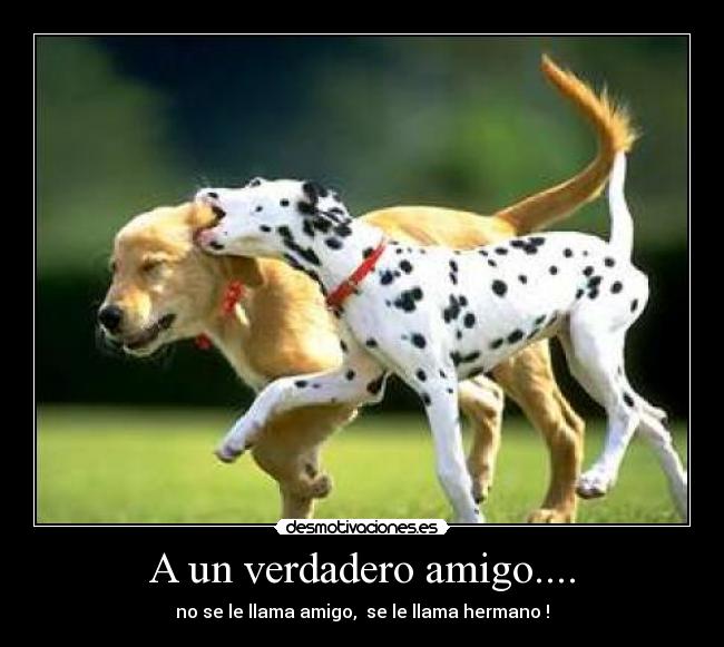 A un verdadero amigo.... - no se le llama amigo,  se le llama hermano !