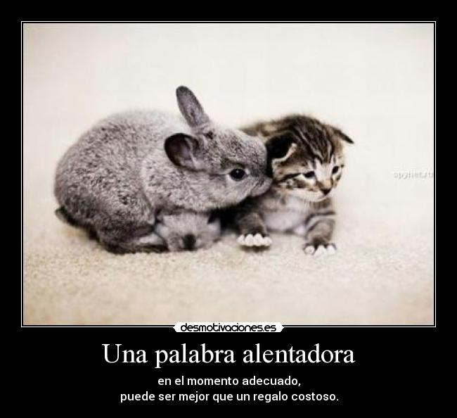 Una palabra alentadora - 