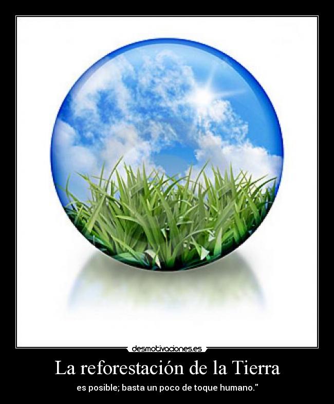 La reforestación de la Tierra - 