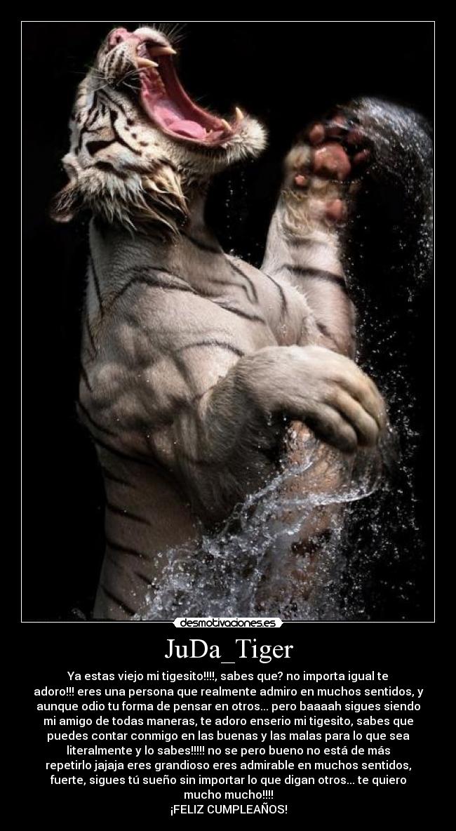 carteles judatiger adoro tigesito feliz cumple moradiza enamoradiza desmotivaciones
