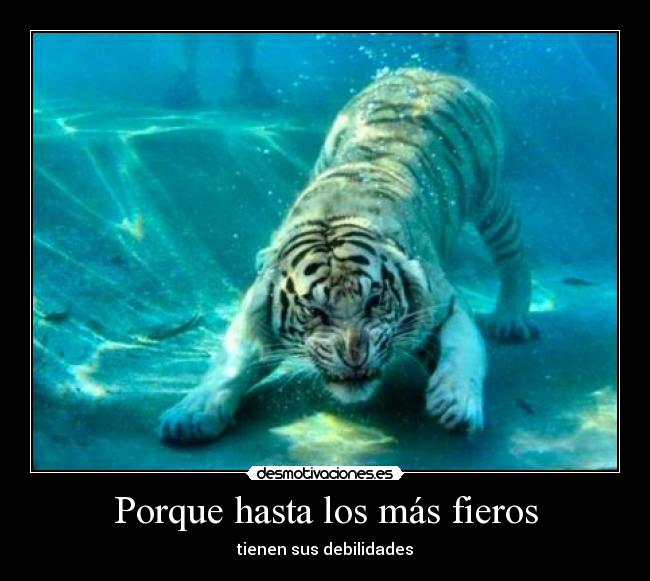 Porque hasta los más fieros -