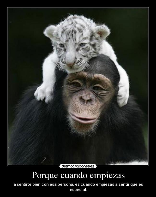 Porque cuando empiezas -